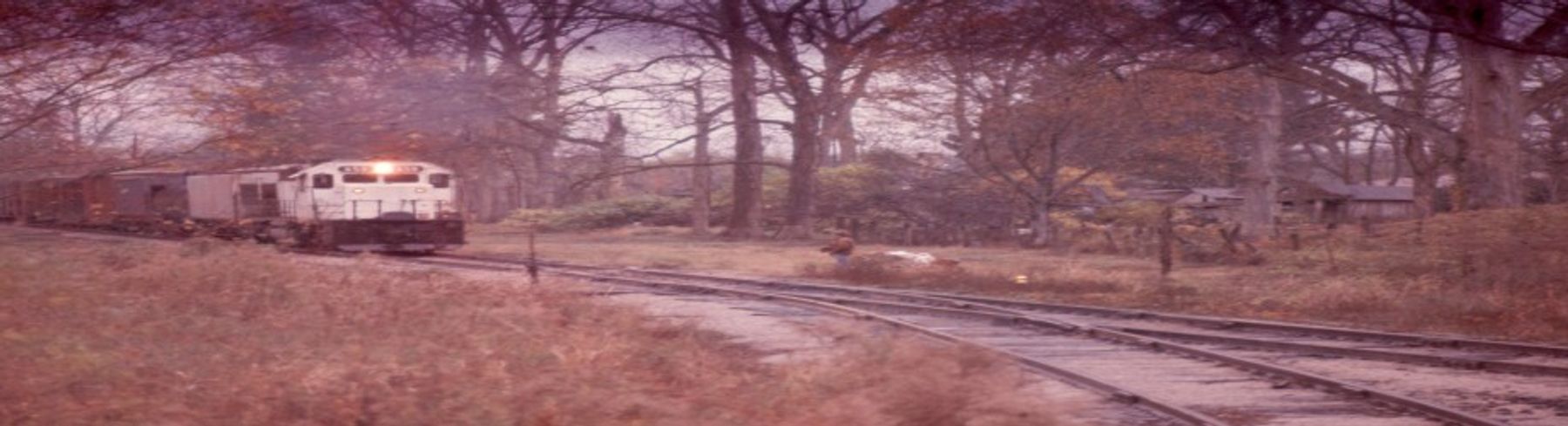 A freight train passing through the rural South